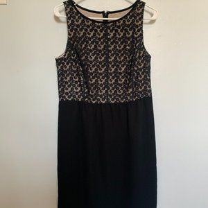 Loft Dress Size 6